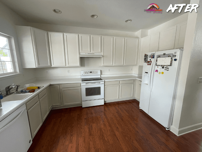 Panoramic-Pro-Painting-29