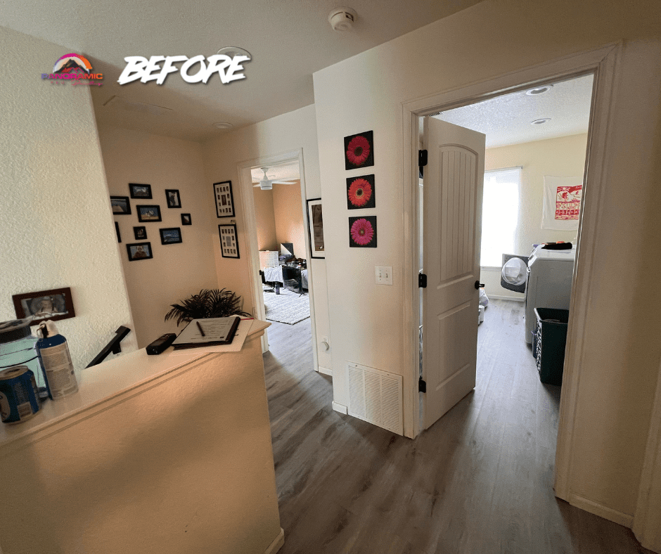 Panoramic-Pro-Painting-17