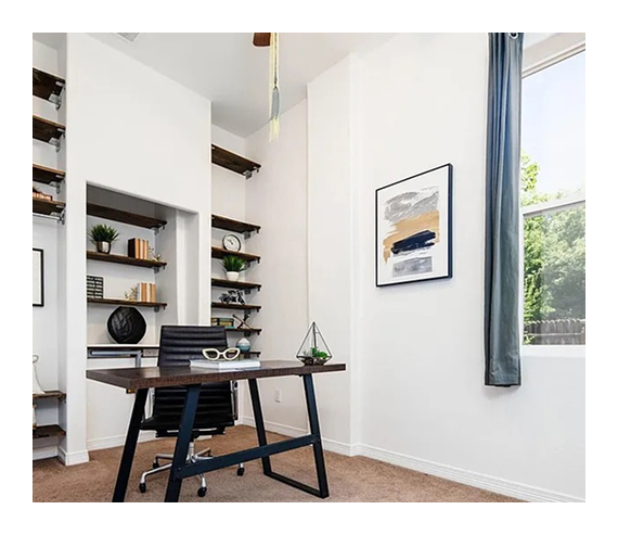 Panoramic-Pro-Painting-5