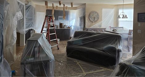 Panoramic-Pro-Painting-6